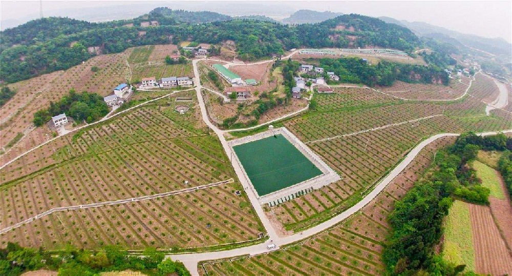 土地整理、农田水利建设项目